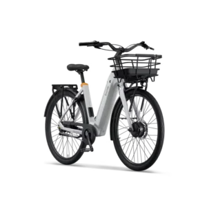Ecoride-Ambassador4 Ecoride Ambassador 4